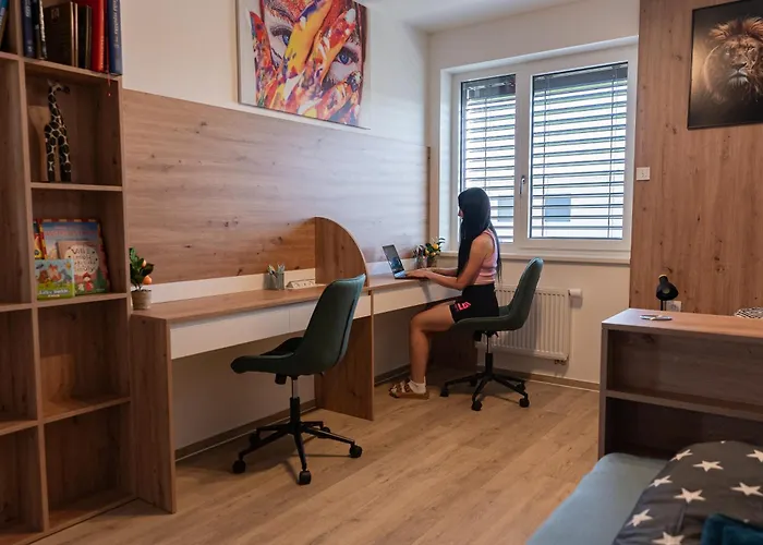 Family Space With Free Parking & Air Condition Brno