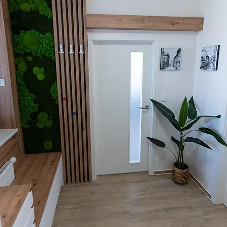 Family Space With Free Parking & Air Condition * Brno