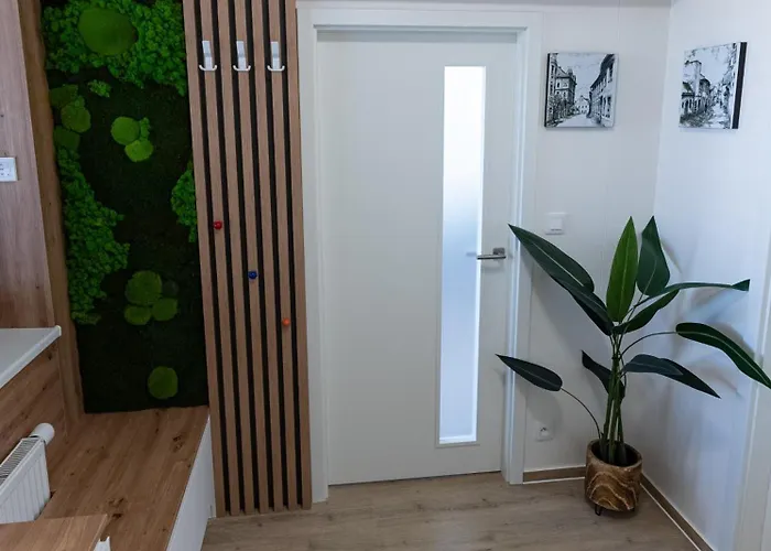 Family Space With Free Parking & Air Condition * ブルノ